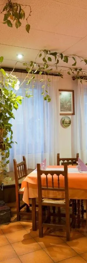 Hotel Castillo d'Acher，位于Siresa的酒店