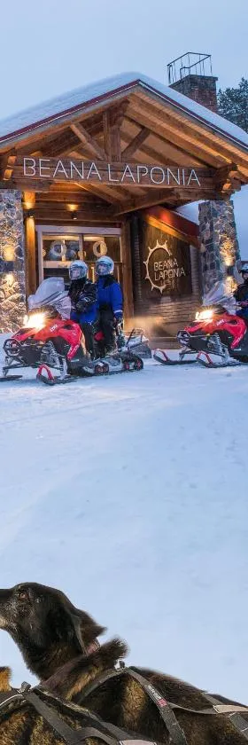 Beana Laponia - Wilderness boutique hotel with safaris，位于Meltaus的酒店