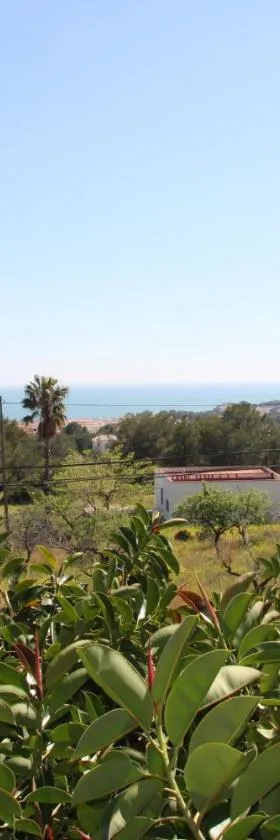 Hotel Serra D'írta，位于阿尔考斯布里的酒店