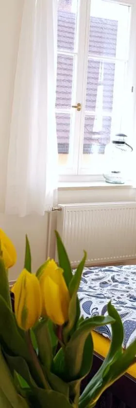 Apartmány u náměstí，位于布劳莫夫的酒店