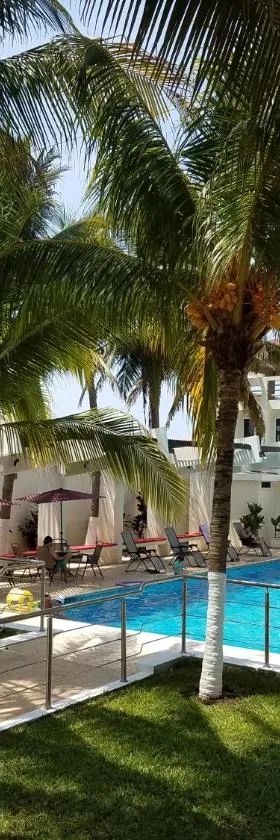 Casa Margarita Hotel And Paradise，位于Las Lisas的酒店