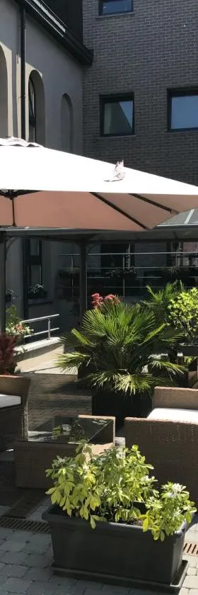 圣丹尼尔酒店，位于Péruwelz的酒店