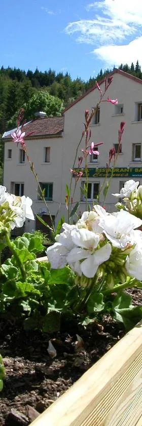 Logis Hôtel Restaurant Les Cévennes，位于Saint-Cirgues-en-Montagne的酒店