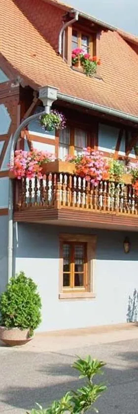 Hotel et Spa du Scharrach，位于Scharrachbergheim Irmstett的酒店