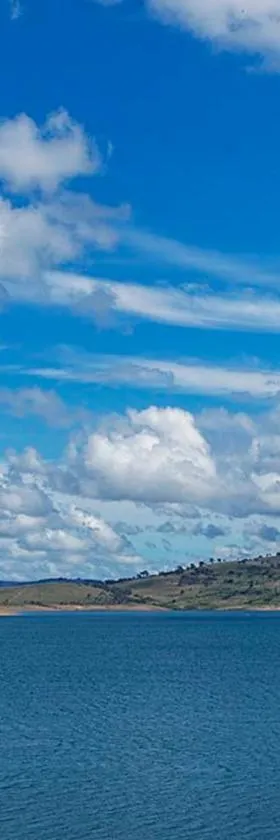 彩虹松树旅游露营地，位于阿达米纳比的酒店