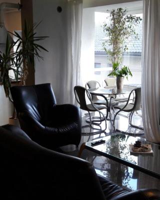 Vilnius Luxury Apartment 1