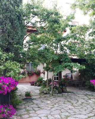 B&B Leggieri Villa Siria