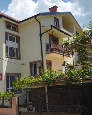 House Nativa