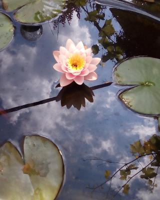 花屋旅馆