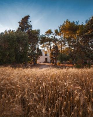 Masseria Fracchicchi