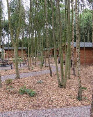 雷丁斯伍德山林小屋露营地