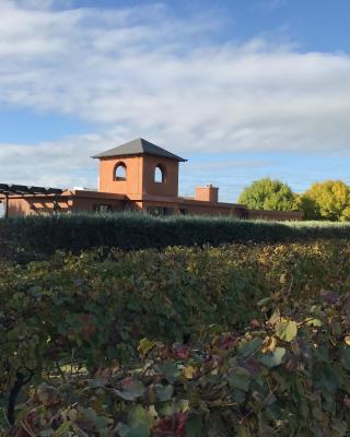 青蛙池塘住宿加早餐旅馆