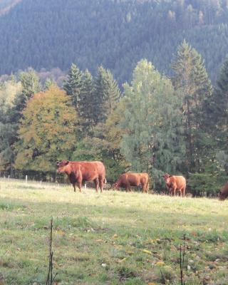 Urlaub auf dem Bauernhof