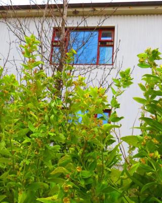 Guesthouse Kálfafellsstadur