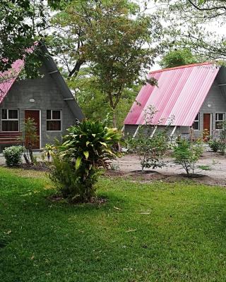 Happy Forest B&B