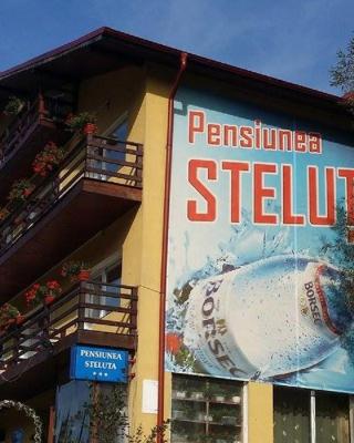 Pensiunea Steluta