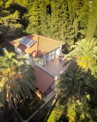 Rosemary Apartments & Rooms