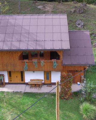 Apartma & savna Slapnik