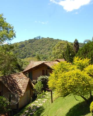 Pássaro de Fogo