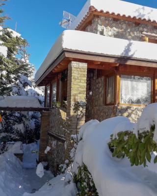 Livadi Chalet Arachova The perfect family vacation