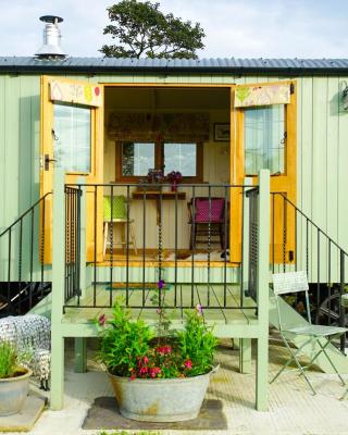 Storws Y Gorlan Shepherd's Hut