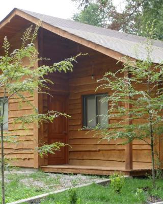 Cabañas Huenehue