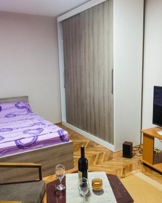 Apartman “Reka Gradac”