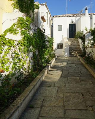 Two Olive Trees