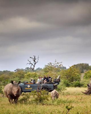 Motswari Private Game Reserve by NEWMARK