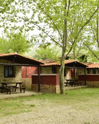 Camping El Pinajarro