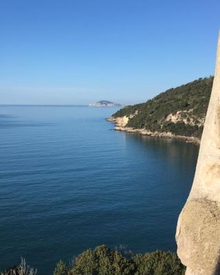 "Il nespolo"