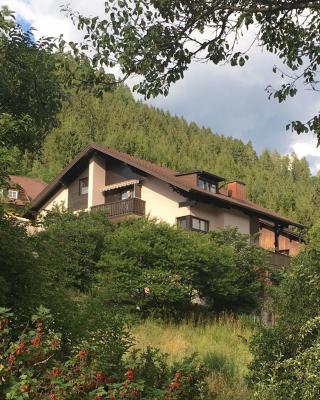 Haus Agnes, Murau