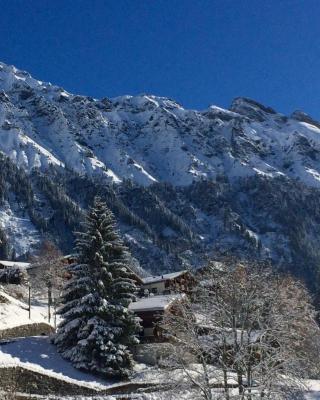 Holiday flat #1, Chalet Aberot, Wengen, Switzerland