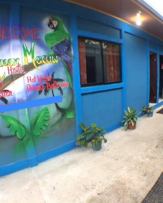 Green Macaw Hostel