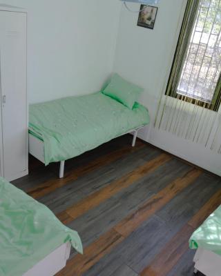 Hostel Belgrade Shungit Dragana Jeftića br 10