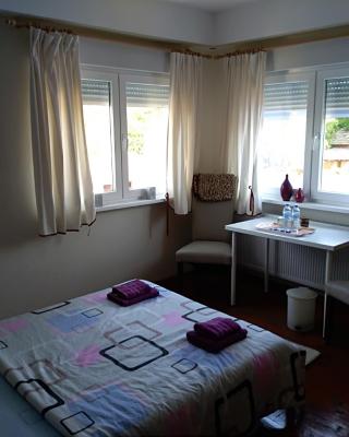 Rogozen B&B