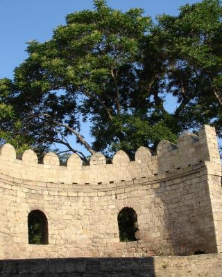 Apartment in Old Town Baku