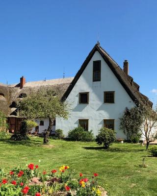 Die Insel auf Rügen