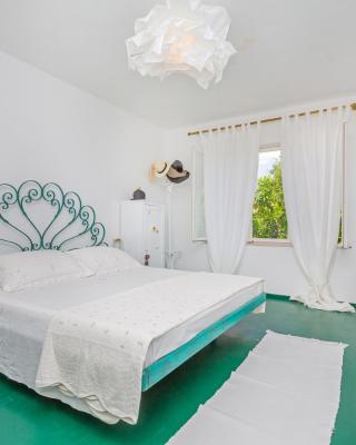 Apartment and Rooms Lapad