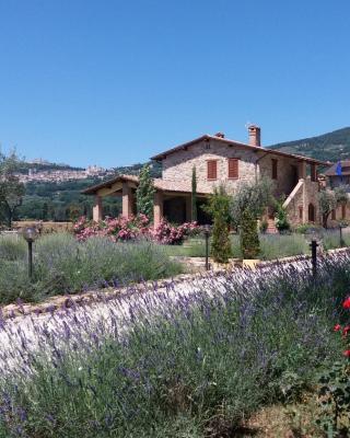 Sulla Strada di San Francesco