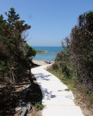 Rosa Marina Frontline Beach