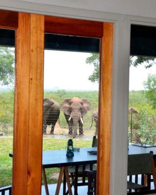 Tingala Lodge - Bed in the Bush