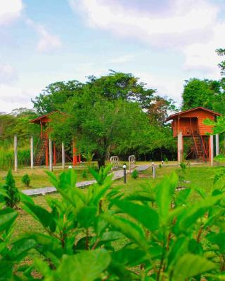 Sigiri Royal Point Tree House