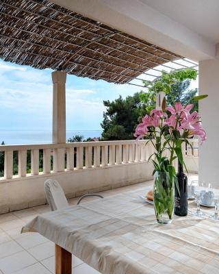 Apartmani Dolac