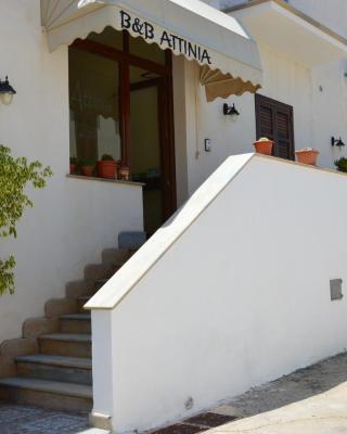 Attinia