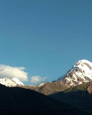 Mount Guest