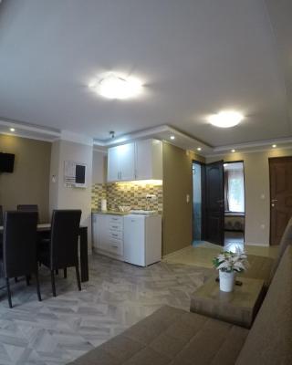 Apartman Bogić