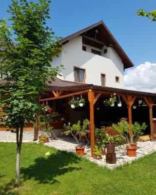 Casa de vacanta Macovei0744