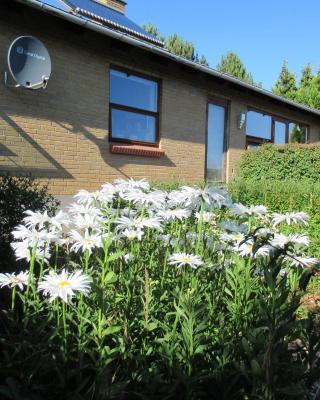 Æbelø-guidens B&B