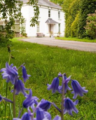 Ballyhenry House and Apartments